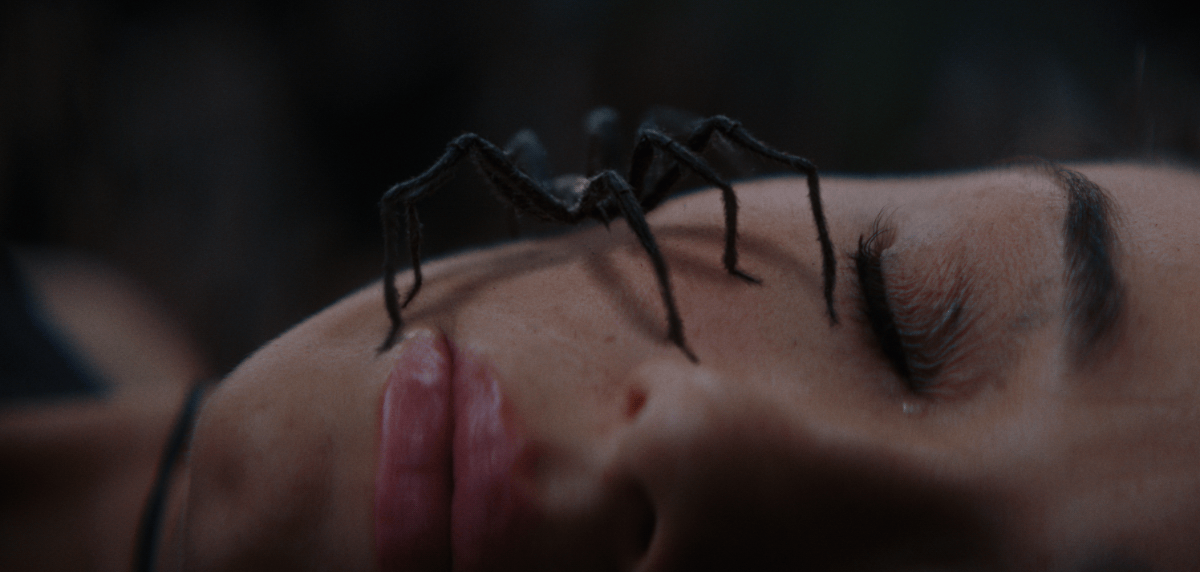 SPIDER ISLAND artwork for Tubi FrightFest 2026