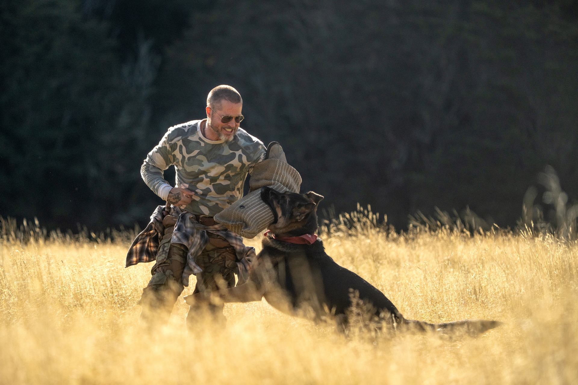 Brad Pitt as James Belmont smiling during a training exercise with Odin in Heart of the Beast