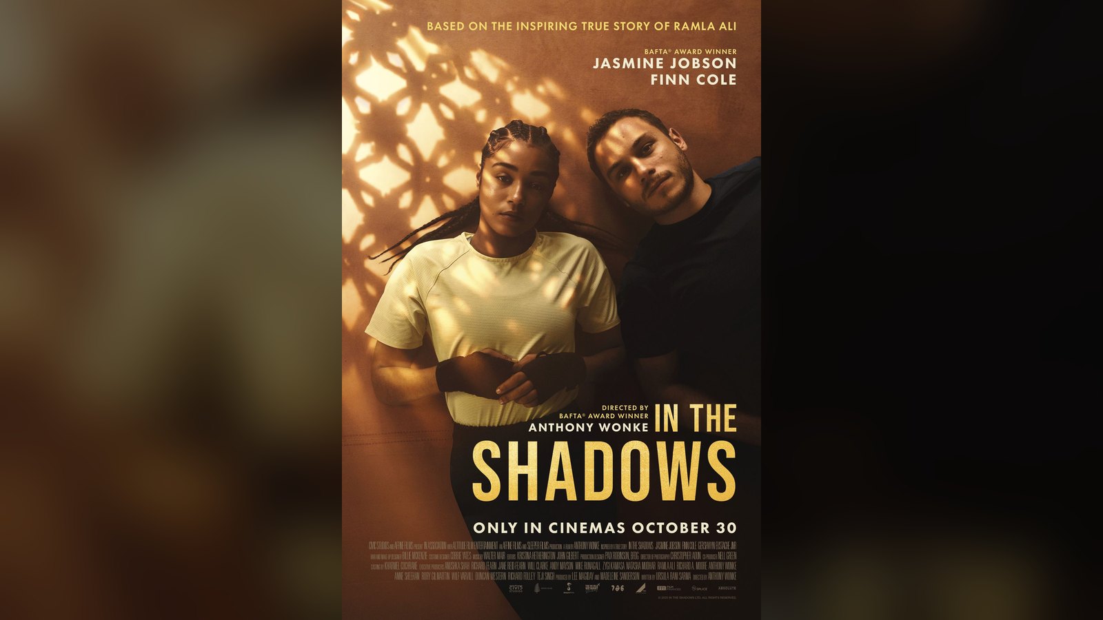 Official poster for In the Shadows